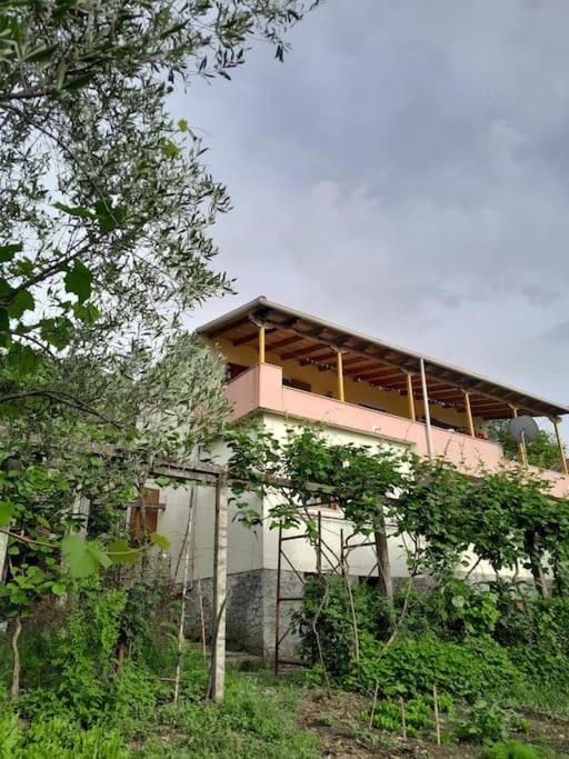 Casa vacanze Sara & Mateo Libohove